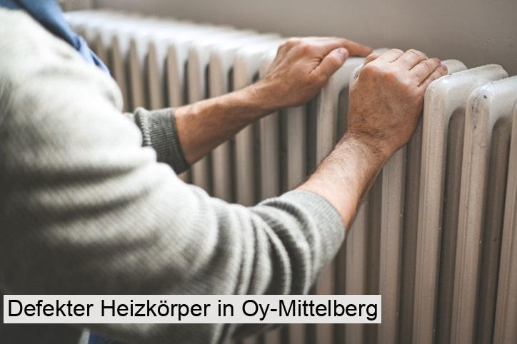 Defekter Heizkörper in Oy-Mittelberg
